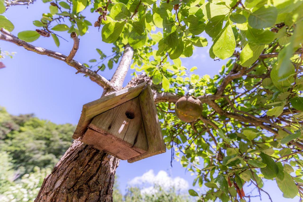 Casa vacanze Little Heatherlea