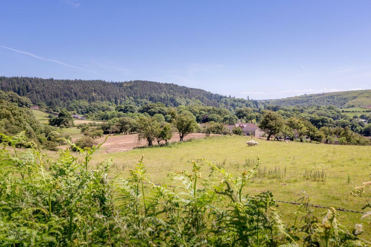 Casa vacanze Little Heatherlea Rothbury